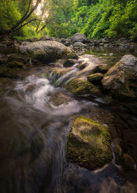 Stream flowing through rocks in forest