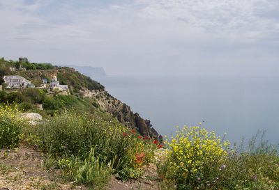 Scenic view of sea against sky