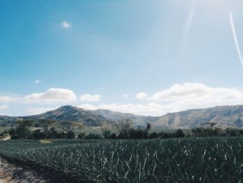 Scenic view of landscape against cloudy sky