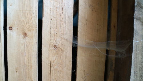 Detail shot of wooden planks
