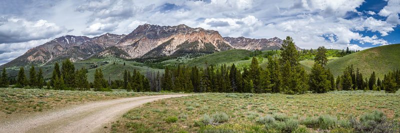 Panoramic view of pine trees and mountains against sky