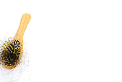 Directly above shot of fresh white background