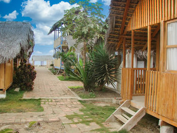 Footpath by palm trees and houses against sky