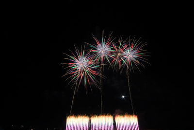 Low angle view of firework display at night