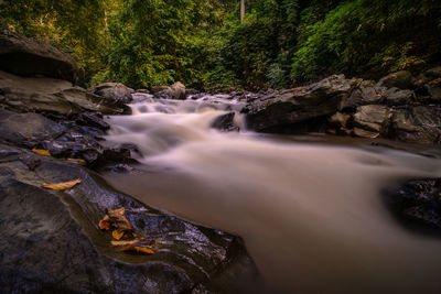 Scenic view of waterfall in forest