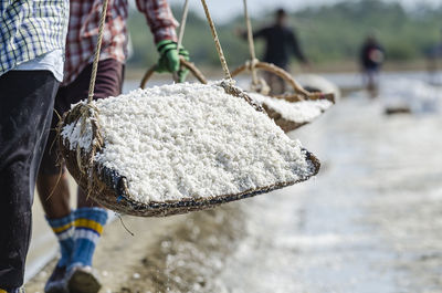 Salters are carrying salts in the salt garden in ban laem, phetchaburi, thailand.