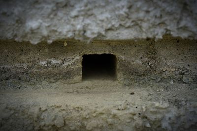 Close-up of stone wall