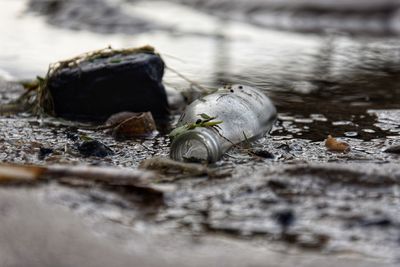 Glass bottle washed up on the beach