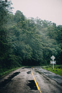 Road amidst trees and plants