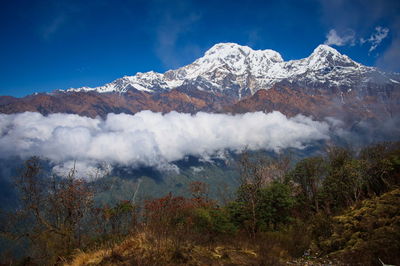 mountain