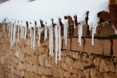 Close-up of icicles hanging on wood in winter