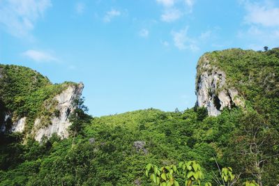 Scenic view of rocky mountains in forest against blue sky