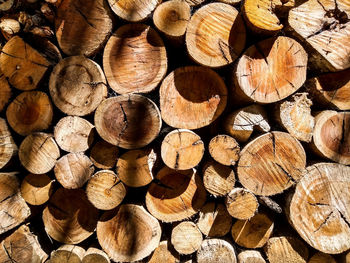 Full frame shot of logs in forest