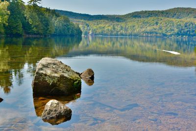 Scenic view of lake by trees