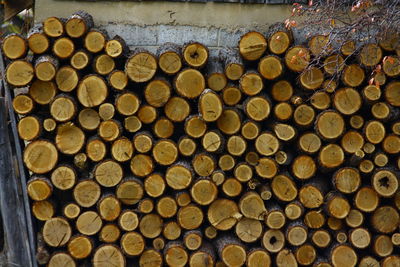 Stack of logs