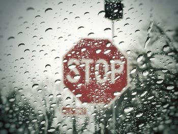 Close up of plant against blurred background