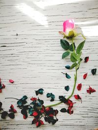 Close-up of flowers on table