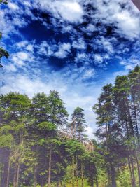 Low angle view of trees against cloudy sky