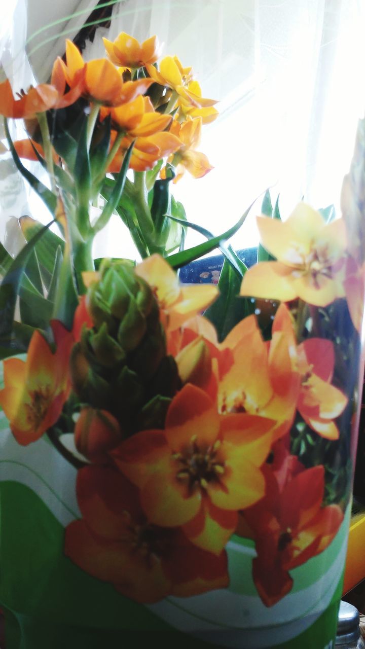 flower, freshness, petal, fragility, flower head, indoors, beauty in nature, growth, vase, yellow, blooming, plant, nature, close-up, flower arrangement, potted plant, orange color, tulip, in bloom, no people