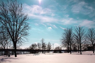 Bare trees on snow covered landscape