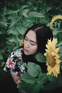 High angle view of young woman looking away by yellow flowers in park