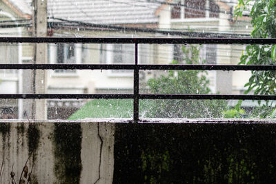 Close-up of wet railing during rainy season