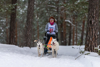 View of a dog on snow covered land