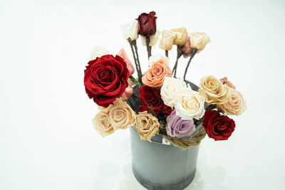 Close-up of rose bouquet against white background