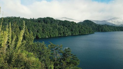 Scenic view of lake in forest against sky