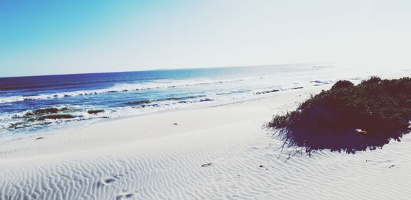 Scenic view of beach against clear sky