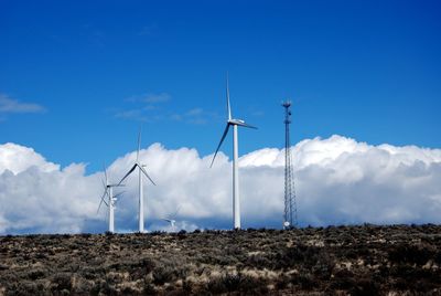 Wind turbines on field