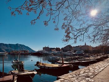 Sailboats moored at harbor against clear sky