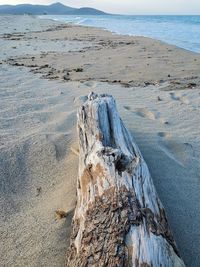 View of driftwood on beach