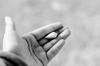 Close-up of hand holding seashell