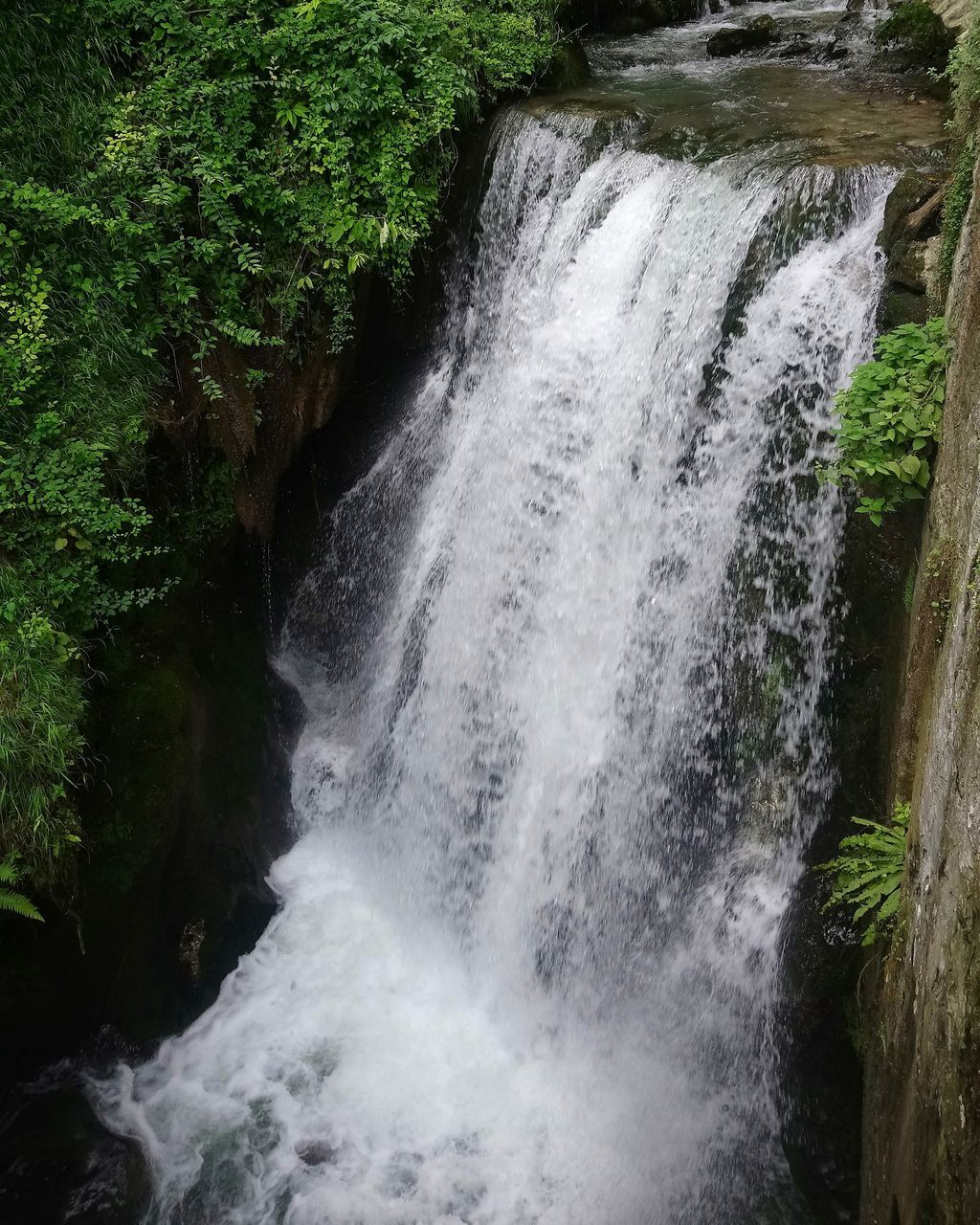 SCENIC VIEW OF WATERFALL