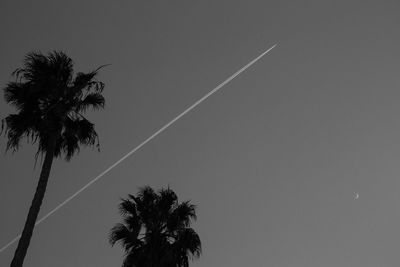 Low angle view of silhouette palm tree against clear sky