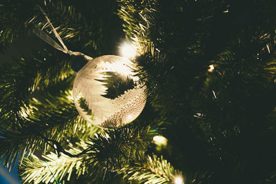 Close-up of illuminated christmas tree