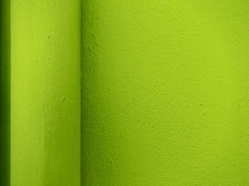 Detail shot of green wall