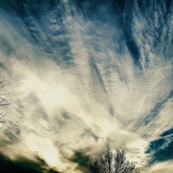 Low angle view of tree against dramatic sky