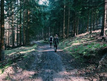 Rear view of friends hiking in forest