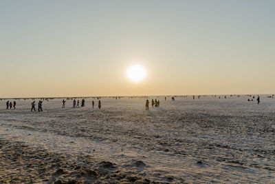 Group of people on beach at sunset