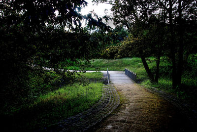 Footpath in park