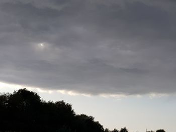 Low angle view of silhouette trees against sky