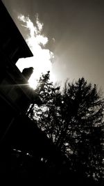 Low angle view of tree against sky