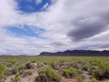 Scenic view of landscape against sky