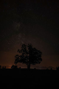 Silhouette trees on field against sky at night