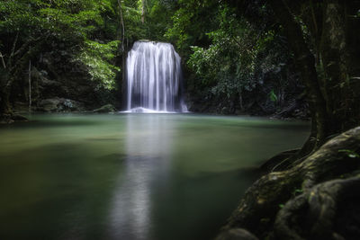 Scenic view of waterfall in forest