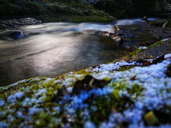 Scenic view of waterfall