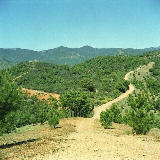 clear sky, mountain, tranquil scene, tranquility, landscape, scenics, beauty in nature, nature, tree, copy space, mountain range, blue, road, non-urban scene, the way forward, green color, remote, dirt road, sunlight, idyllic