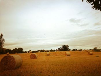 Hay bales on field against sky